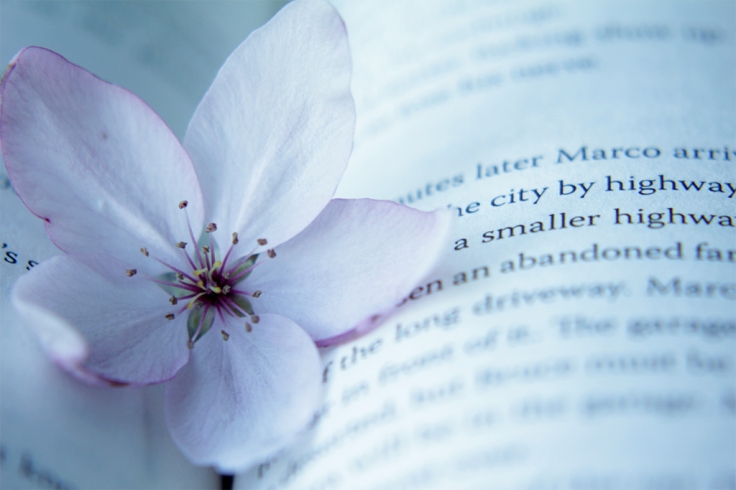 Book Flower